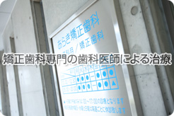 �������Ȑ��̎��Ȉ�t�ɂ�鎡��